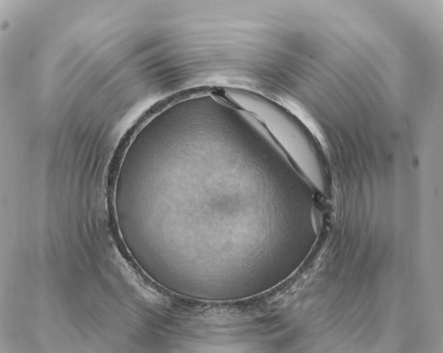 X0000088380972200706121141