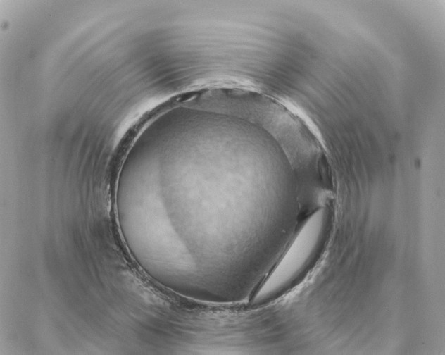 X0000088380973200706121141