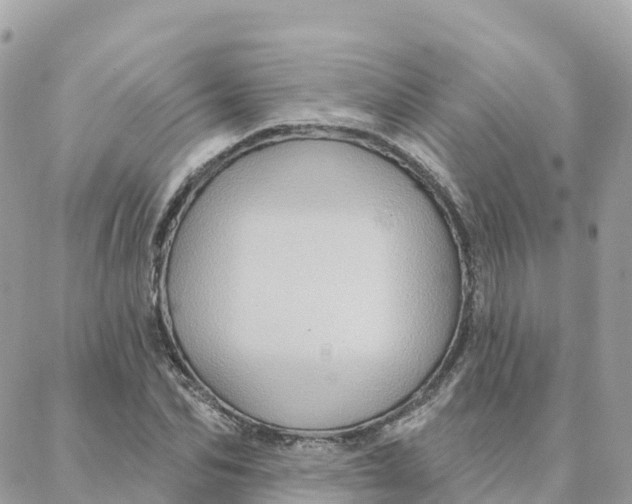 X0000088380974200706121141