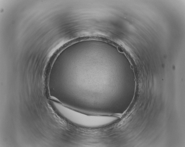 X0000088380975200706121141