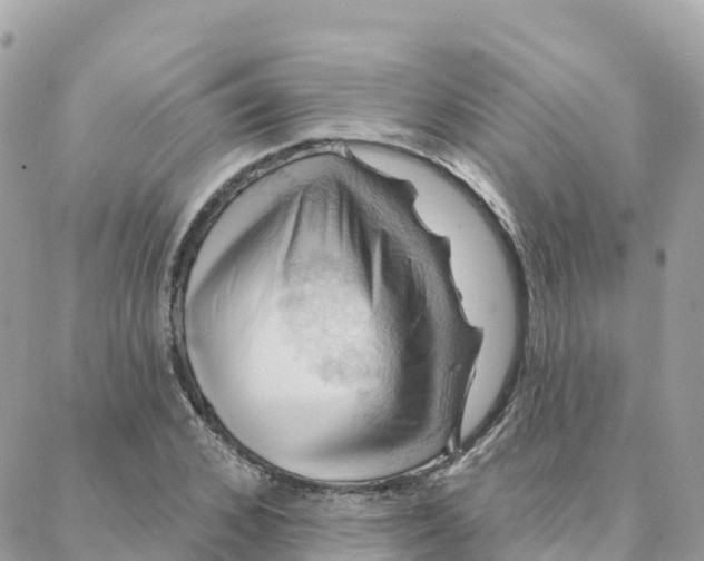 X0000088380976200706121141