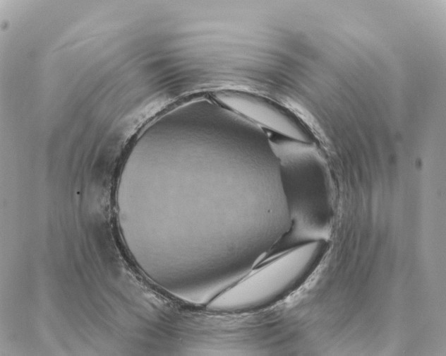 X0000088380977200706121141