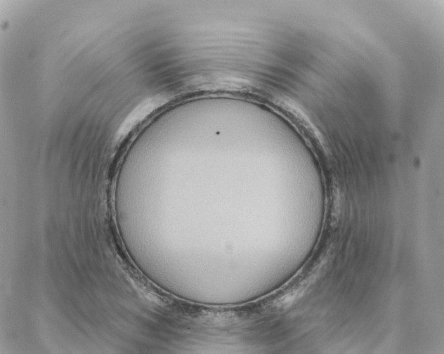 X0000088380978200706121141