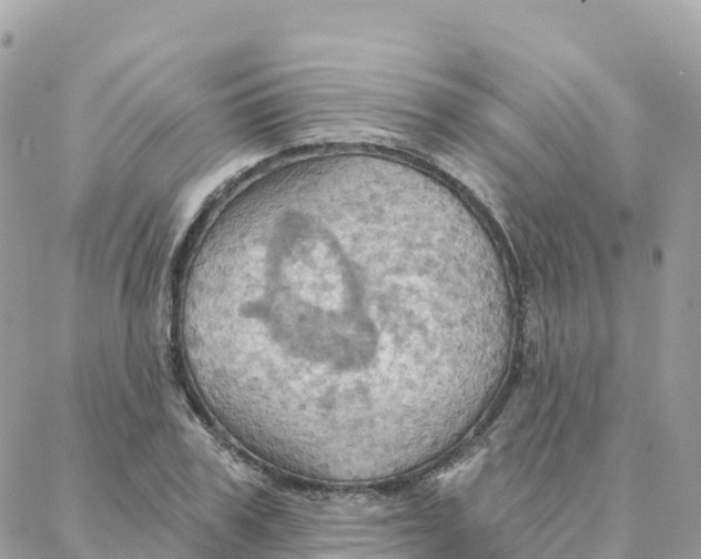 X0000088380979200706121141