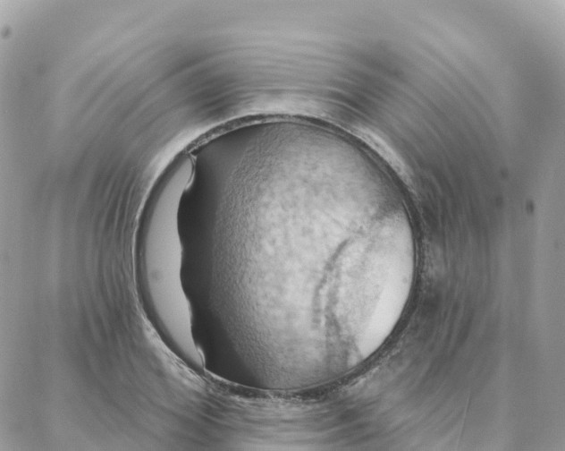 X0000088380980200706121141