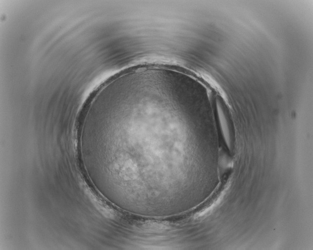 X0000088380981200706121141