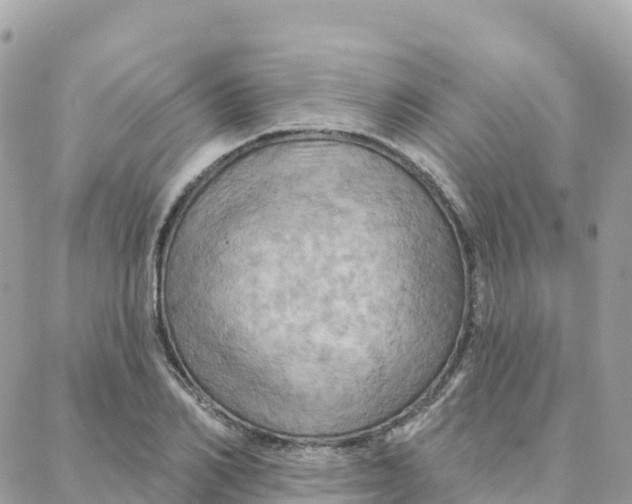 X0000088380982200706121141