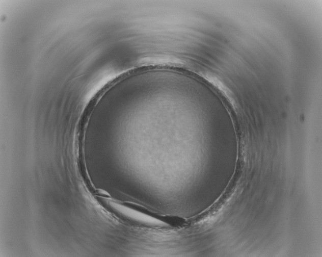 X0000088380983200706121141