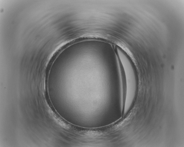 X0000088380984200706121141