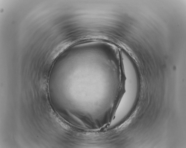 X0000088380985200706121141