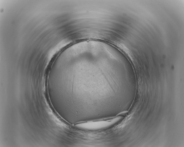 X0000088380987200706121140