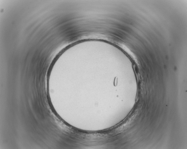 X0000088380988200706121140