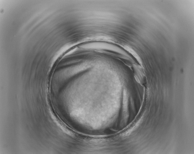 X0000088380989200706121140