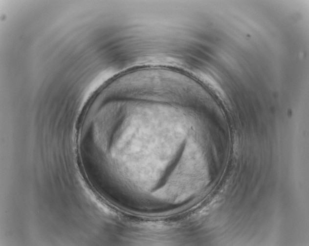 X0000088380990200706121140