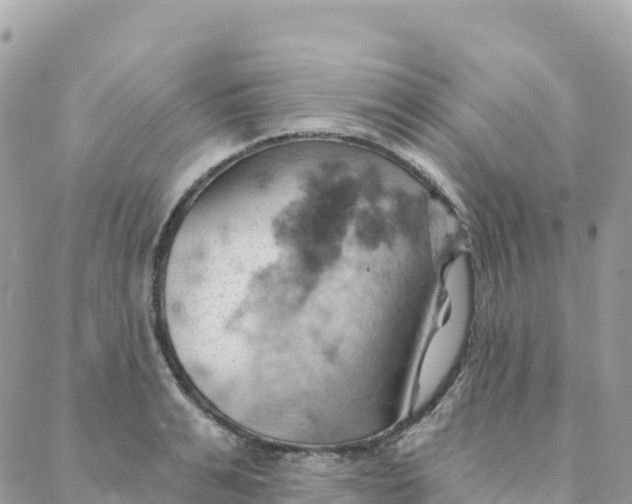 X0000088380991200706121140