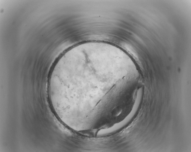 X0000088380992200706121140