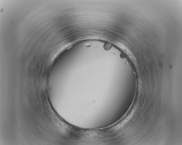 X0000088380993200706121140