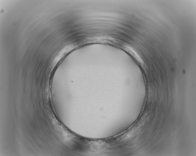 X0000088380994200706121140