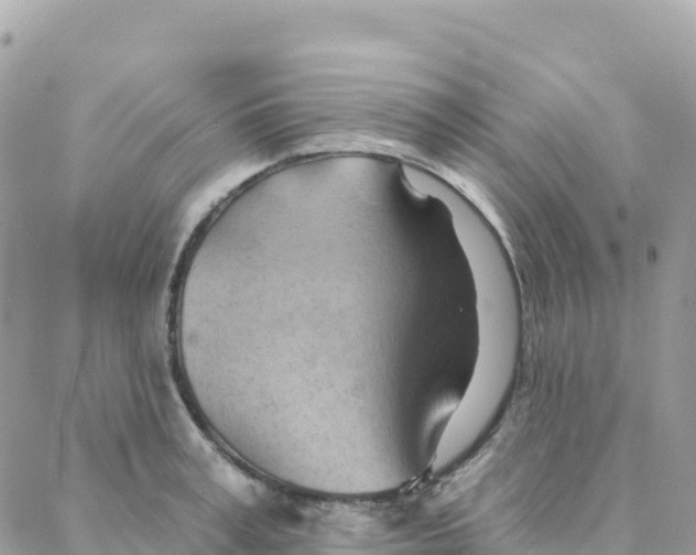 X0000088380995200706121140