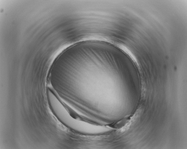 X0000088380996200706121140