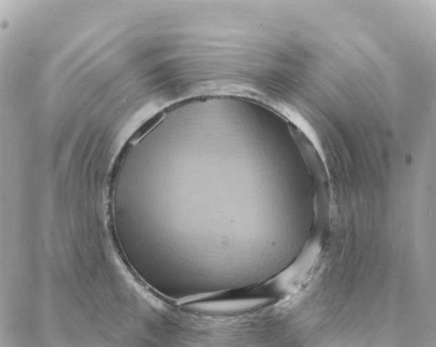 X0000088380997200706121140