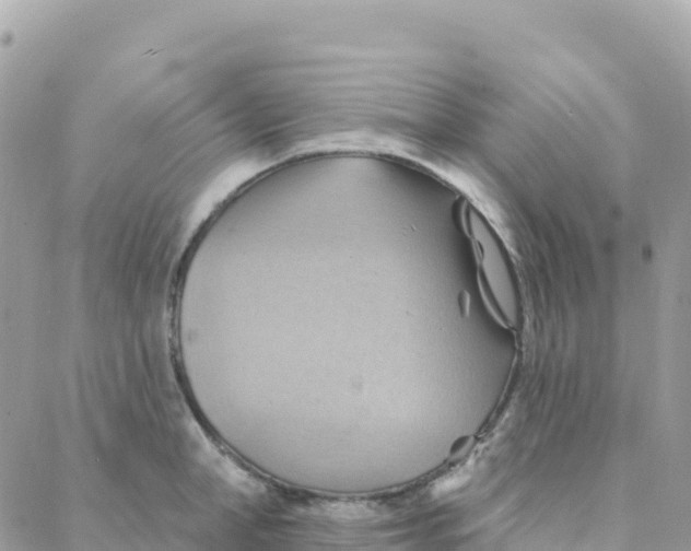 X0000088380998200706121140