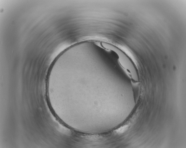 X0000088380999200706121140