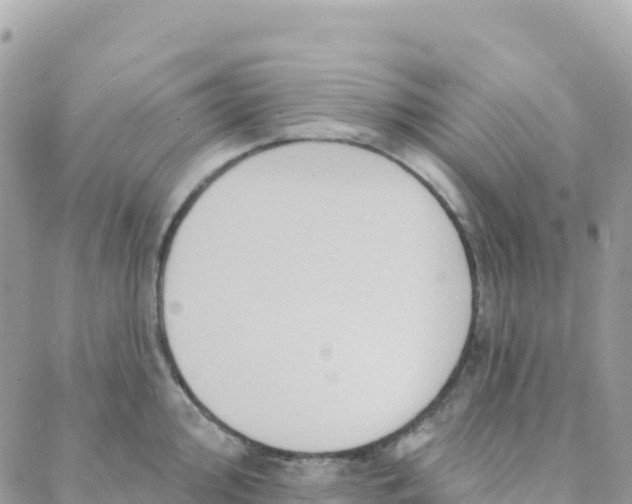 X0000088381000200706121140