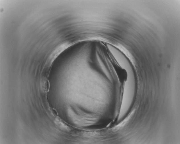 X0000088381001200706121140