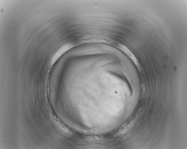 X0000088381002200706121140