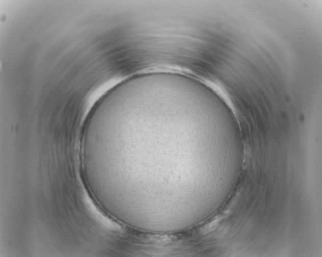 X0000088381003200706121140