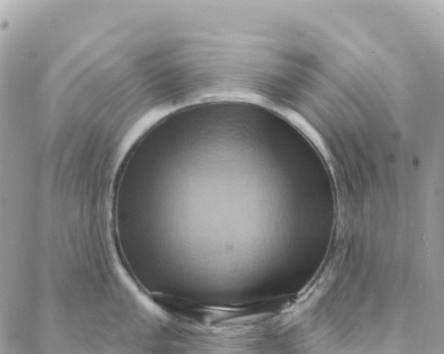 X0000088381005200706121140