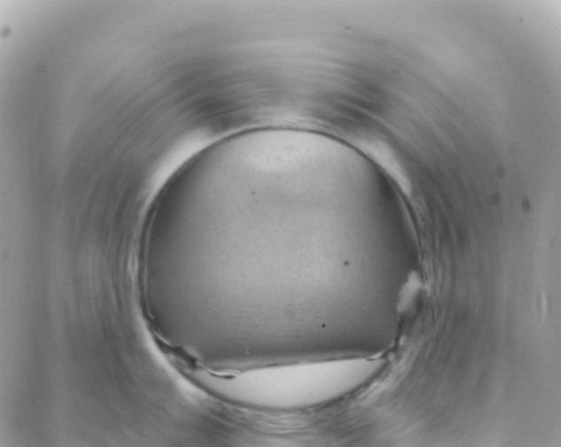 X0000088381007200706121140