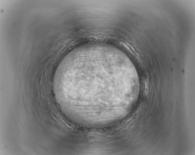 X0000088381009200706121139