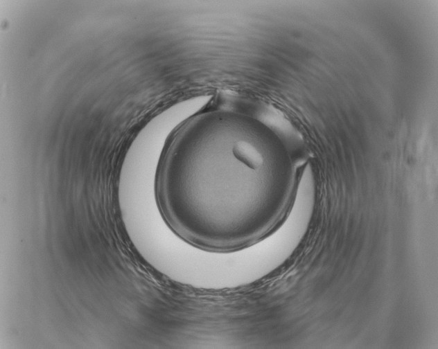 X0000088381010200706121139