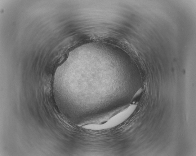 X0000088381012200706121139