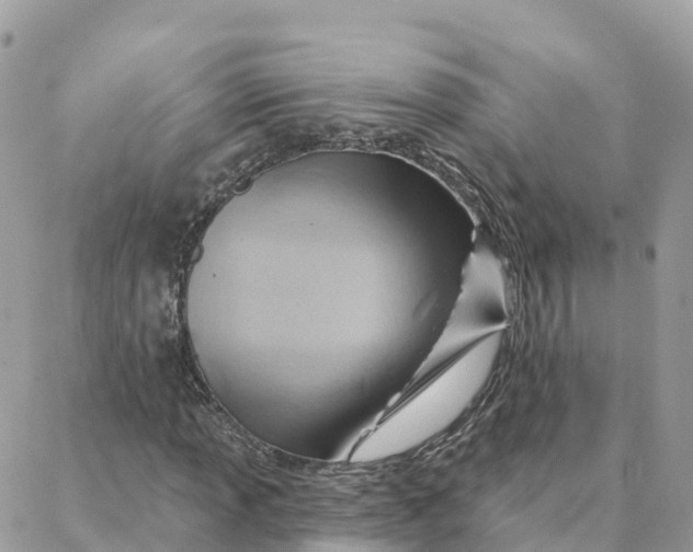 X0000088381013200706121139