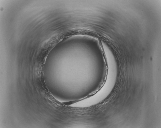 X0000088381014200706121139