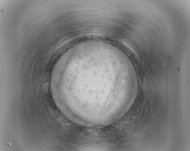 X0000088381015200706121139