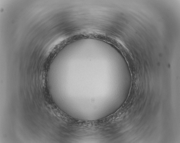 X0000088381016200706121139