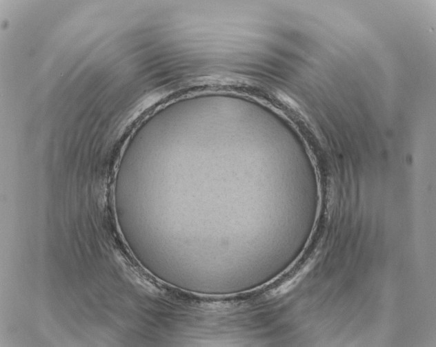 X0000088381017200706121139