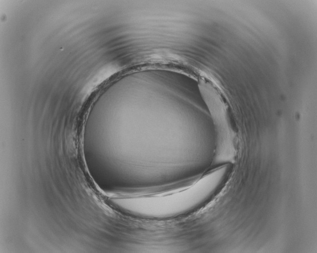 X0000088381018200706121140