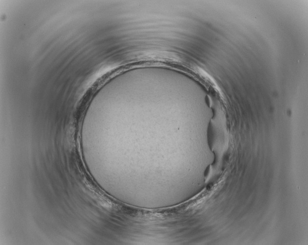 X0000088381019200706121140