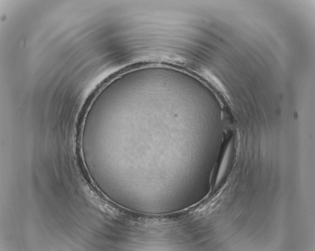 X0000088381020200706121140