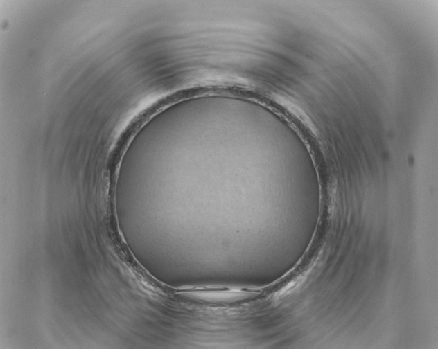 X0000088381021200706121140