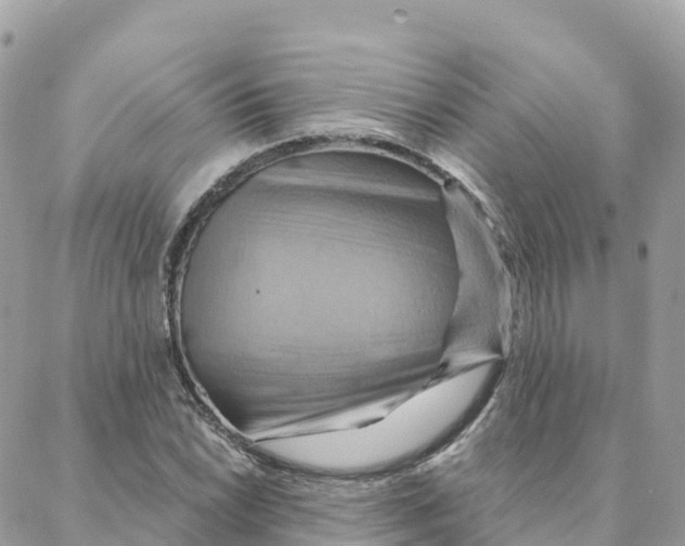 X0000088381022200706121140