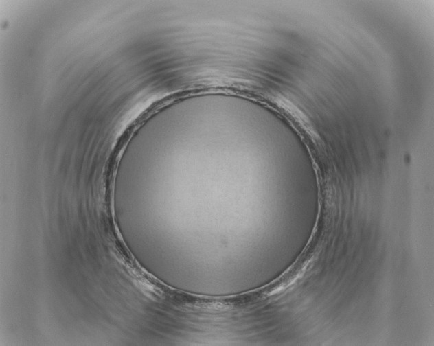 X0000088381023200706121140