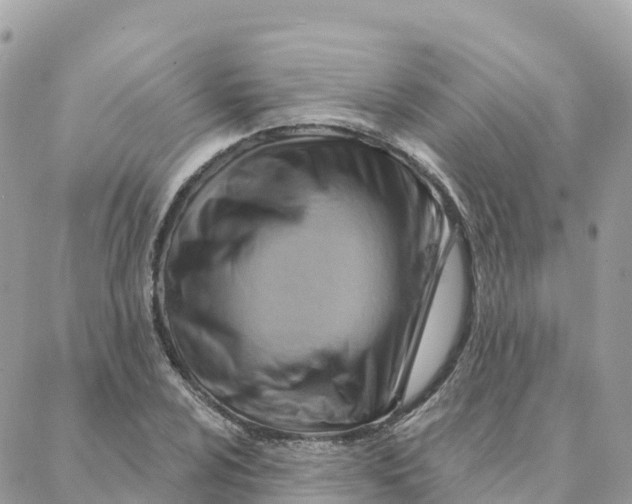 X0000088381024200706121140