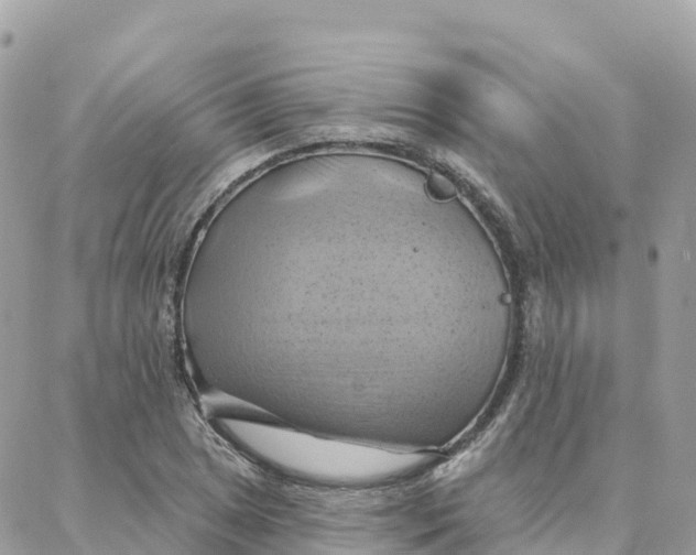 X0000088381025200706121140