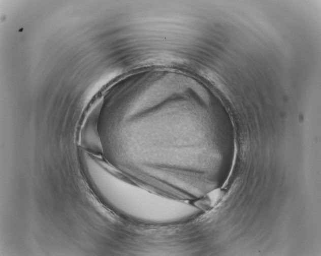 X0000088381026200706121140